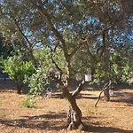 Viale Del Sole - Le Dimore Casa de hóspedes Locorotondo