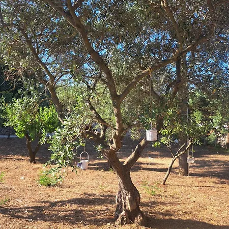 Viale Del Sole - Le Dimore Penzion Locorotondo