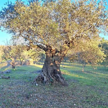 Guest house Viale Del Sole - Le Dimore *
