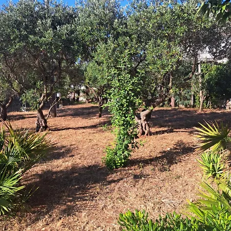 Viale Del Sole - Le Dimore Locorotondo