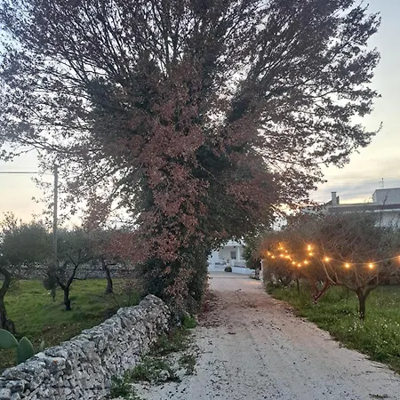 Viale Del Sole - Le Dimore Penzion