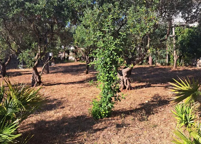 Viale Del Sole - Le Dimore 로코로톤도